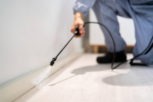 Bed Bug Pre-Treatment Preparation Assessment in Weaver
