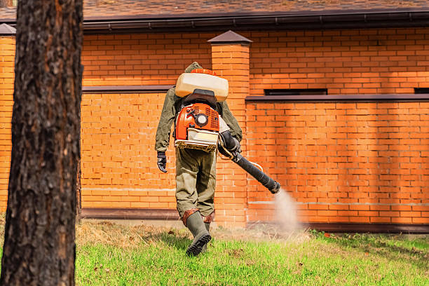 Bed Bug Clearance Verification and Documentation in Weaver